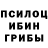 Псилоцибиновые грибы Magic Shrooms Polina Vasnetsova