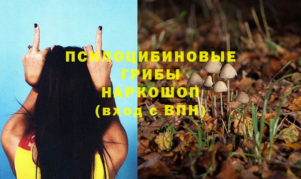 твердый Алексеевка